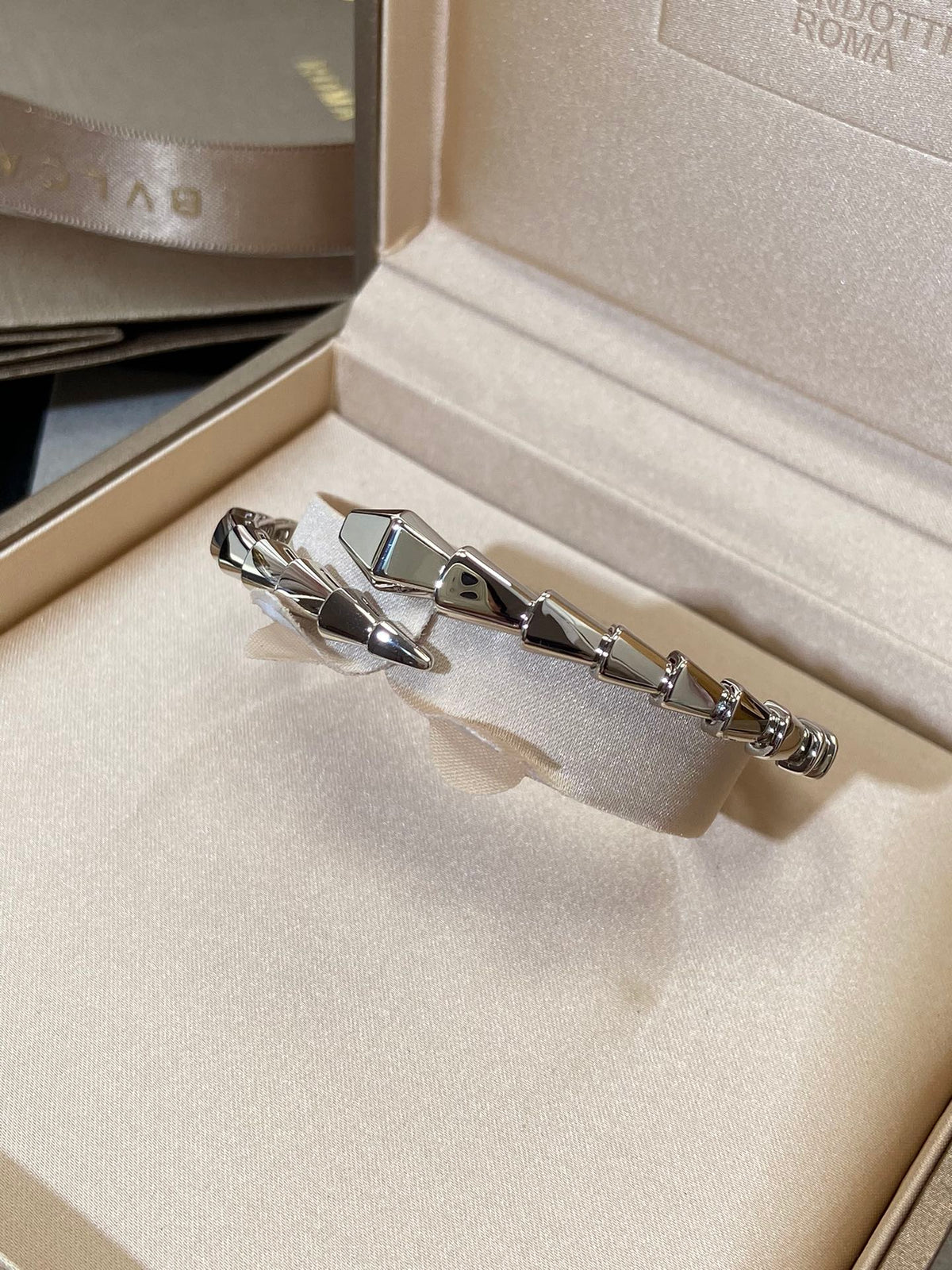 [⭐Mova]SERPENTI VIPER SILVER BRACELET