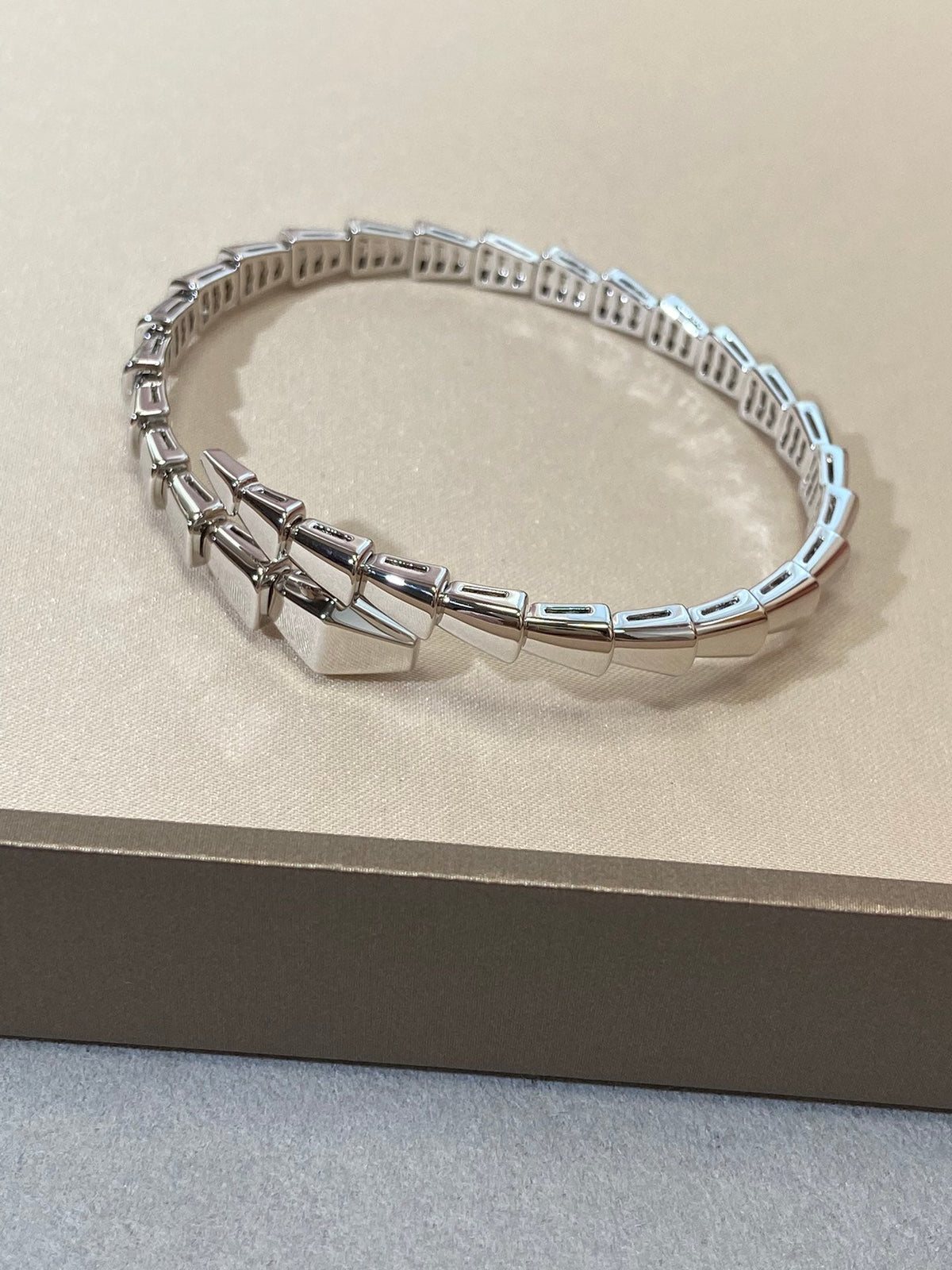 [⭐Mova]SERPENTI VIPER SILVER BRACELET